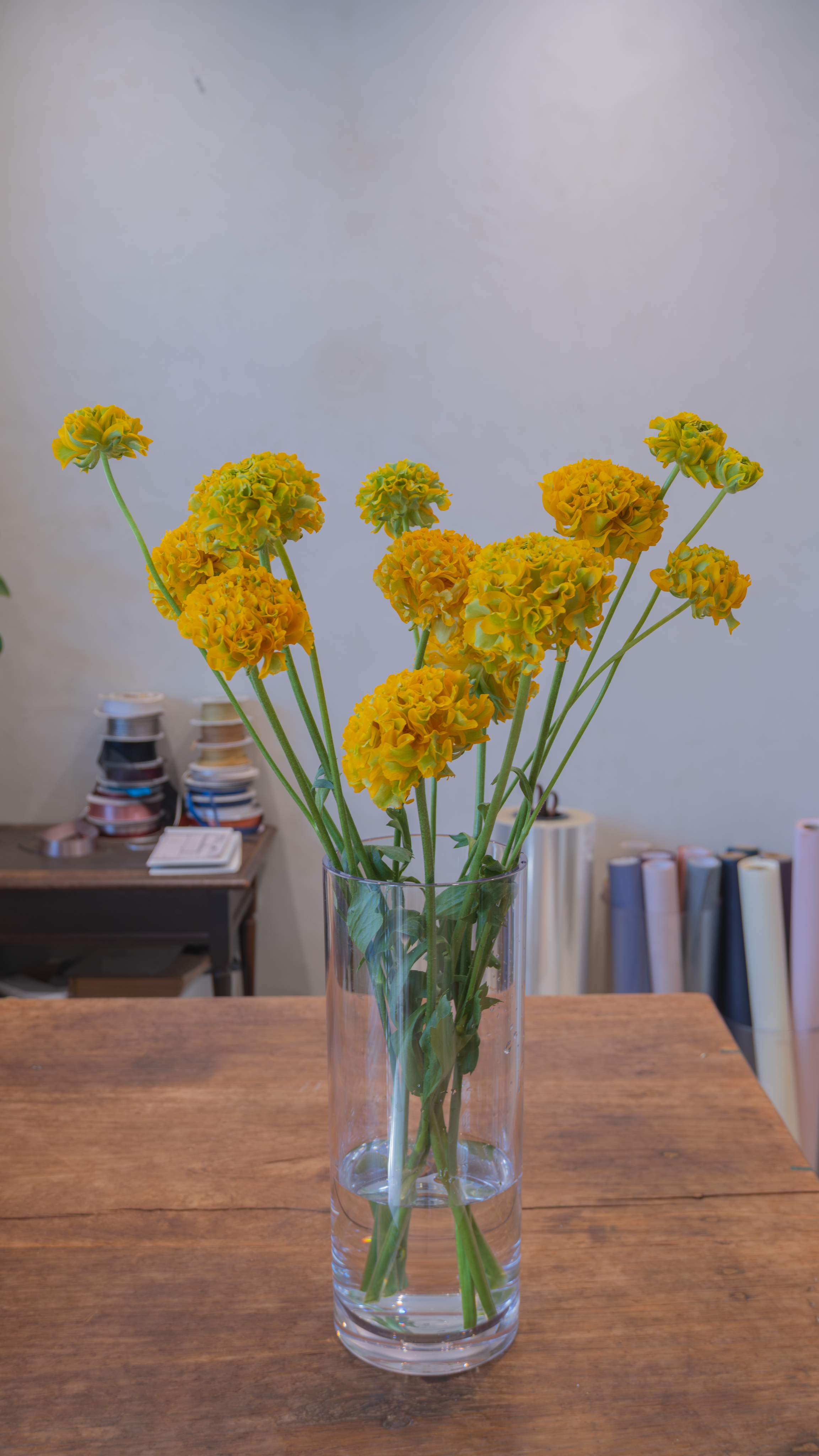 Hand holding white peonies bouquet
